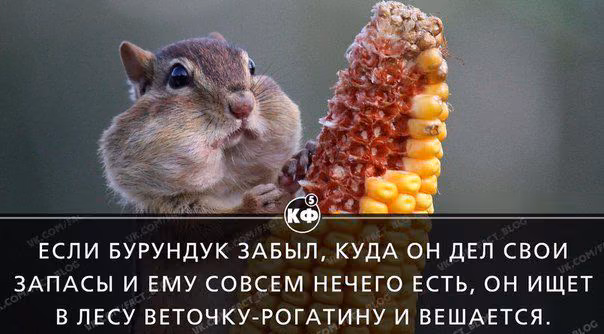7d7b1b1e4dde9f5624a9be2b64aa1ba4.avif