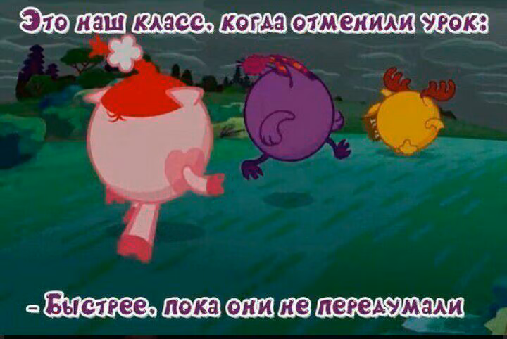 7d7b32dc0d7f89b00f76da837dd3b6b0.avif