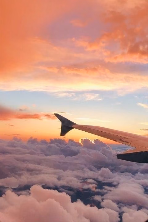 7d7f66f17ab91a5cbccedb097542ebcd.avif