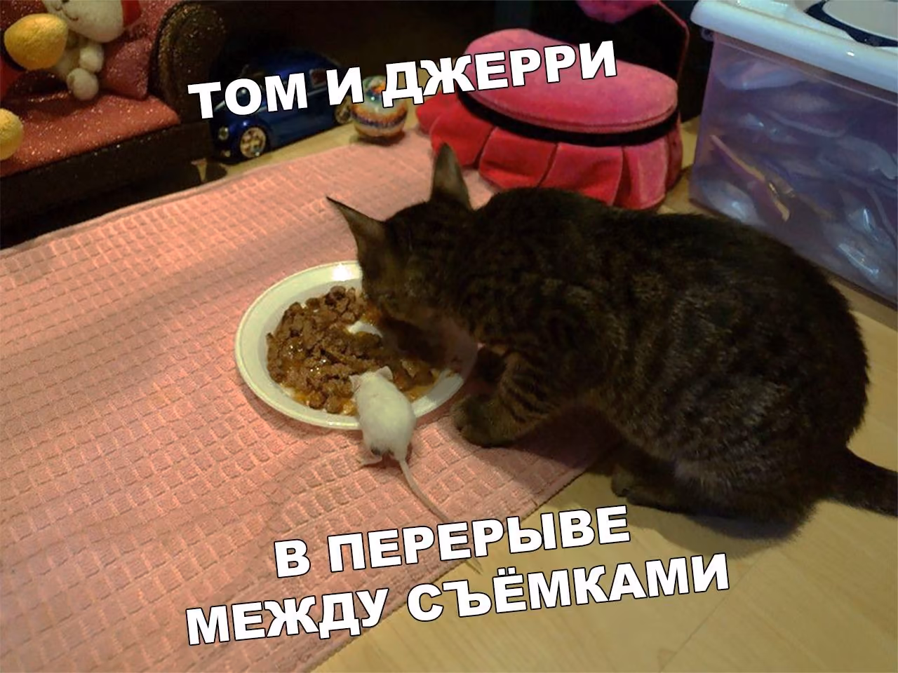 7d847096c9dc9d78aec029403012e32c.jpg