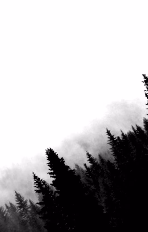 7da3c0d4a681910f06529d184af993ef.jpg