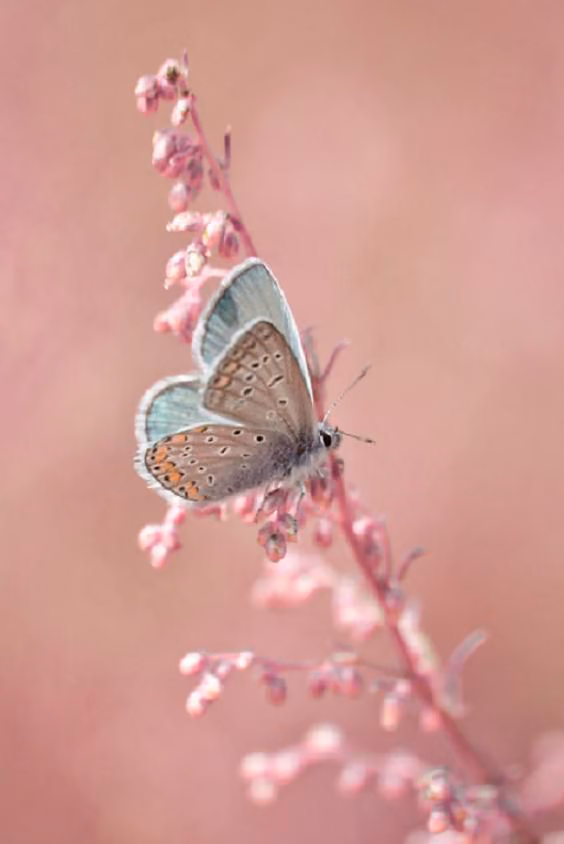 7da72825a06e120d6a666c2478bba7bc.avif