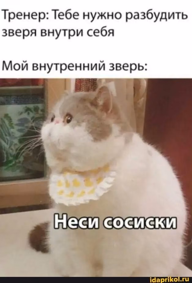 7dac511933d5528a4040078adaae2f0e.avif