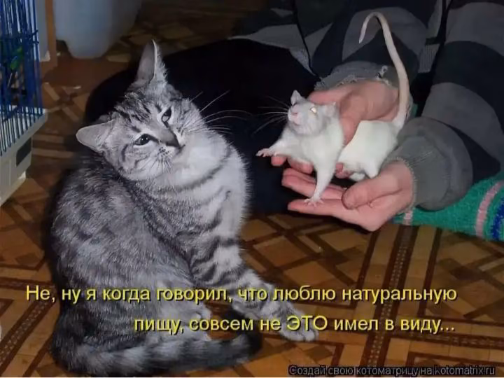 7db372930ed0b165bd1cc1a77a07cf2d.jpg
