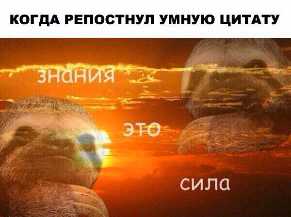 7dbf2fa257cd91322ade55e632f84515.jpg