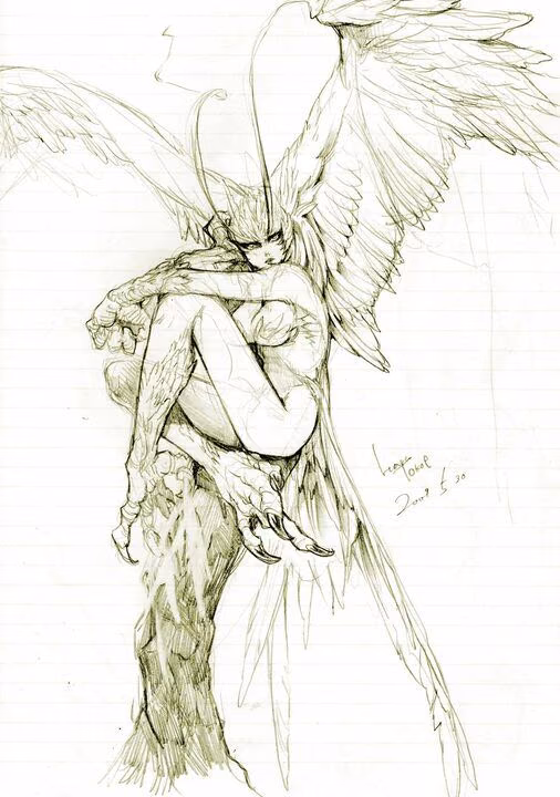 7dc0b0e86d3eb951819c49dd5e10d147.avif