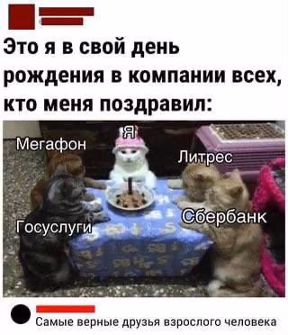 7dc6cde05e369eb3033f984d61e4e5a3.avif