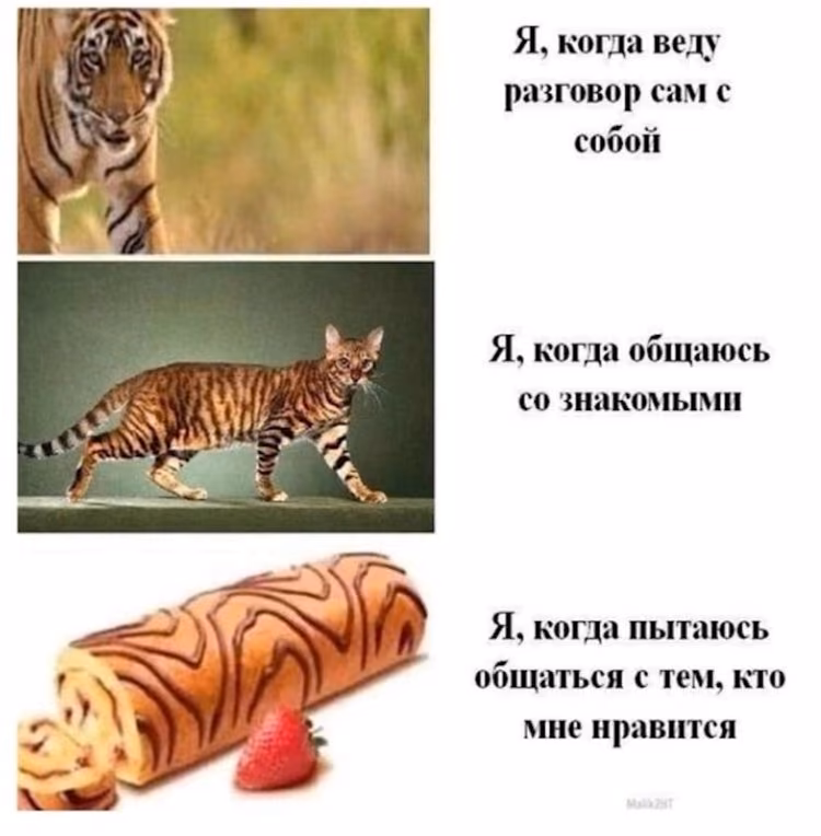 7dcb51aa4647ca30fc3a31895ab1a018.jpg