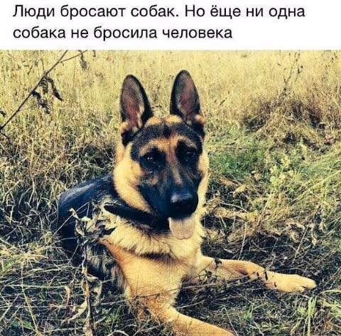7dd34b5f3e0aaf0f57797553bd7e0d05.jpg