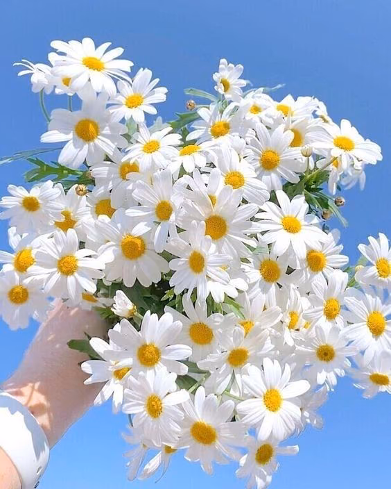 7de0fe7f5949f94fe0f4979b7b5a60ff.jpg
