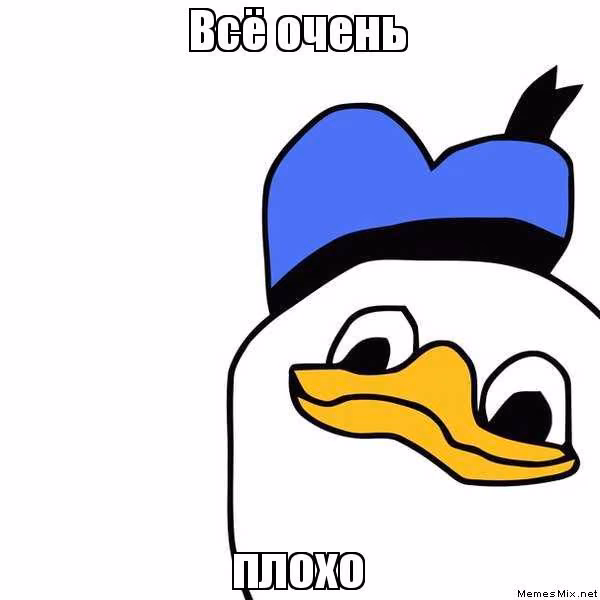 7de7ca272d756c292cb230d070682f7a.avif