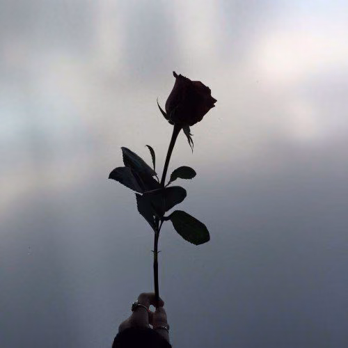 7deaaf68a8ffdee45d73d19064b84835.jpg