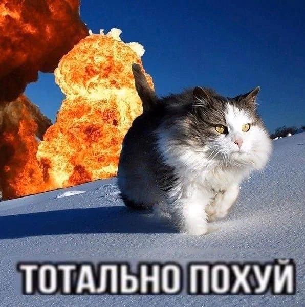 7df86caa745b2ed95d84ff116a7db06e.jpg
