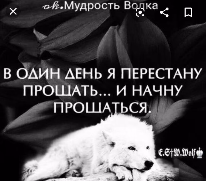 7e012e03c7455feff278396dfb2fe6fe.avif