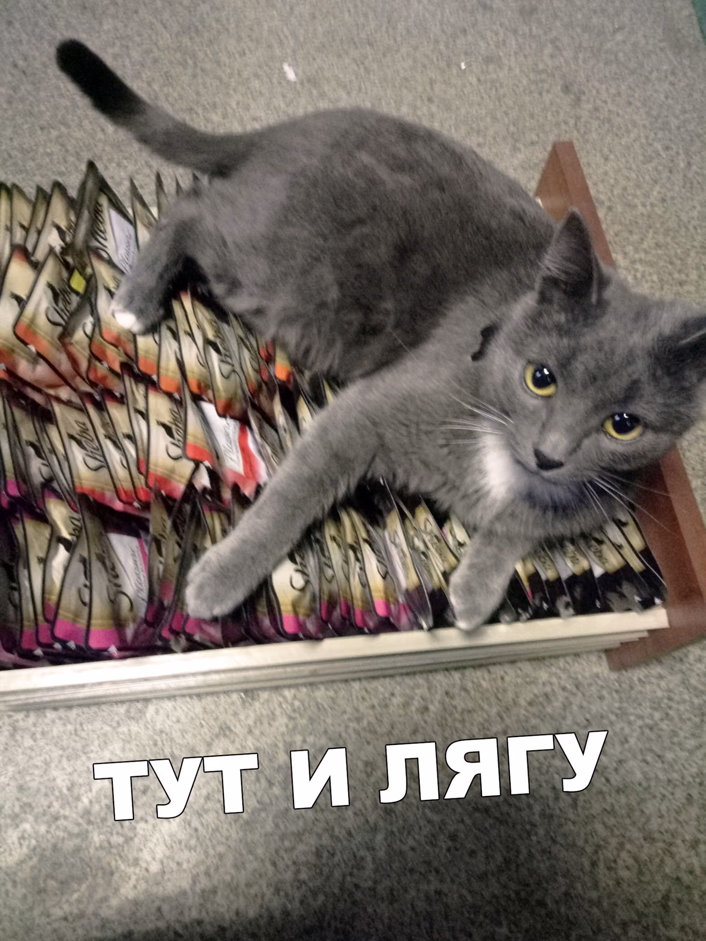 7e05cd870b0add8e0e6394bf9022e06b.jpg