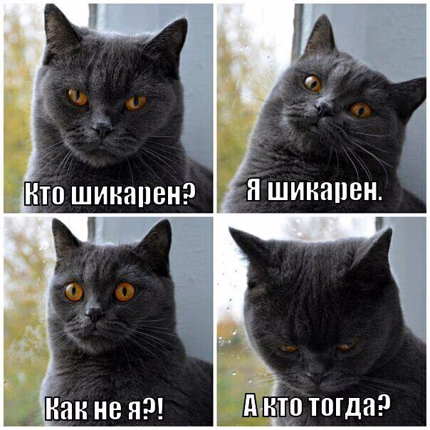 7e06100528d140e369226448d833fd99.avif