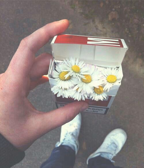 7e16fa3b87b8747daa9991b98d53dde5.avif