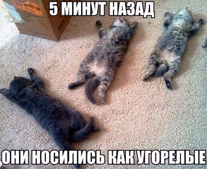 7e272c20c954233053e703ba30d379cb.avif