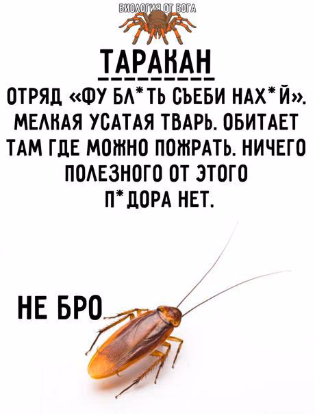 7e2ea47021f79f95acd6e4b5d61010d0.avif