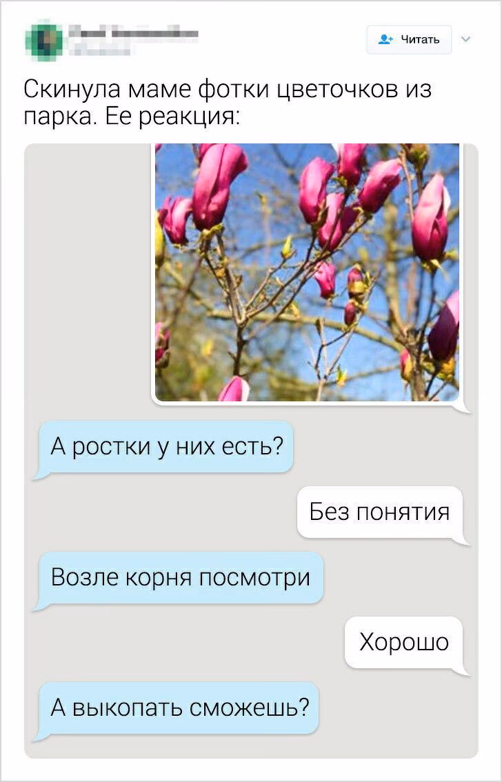 7e45bcdf82f52cebb239b19c64a9ed40.avif