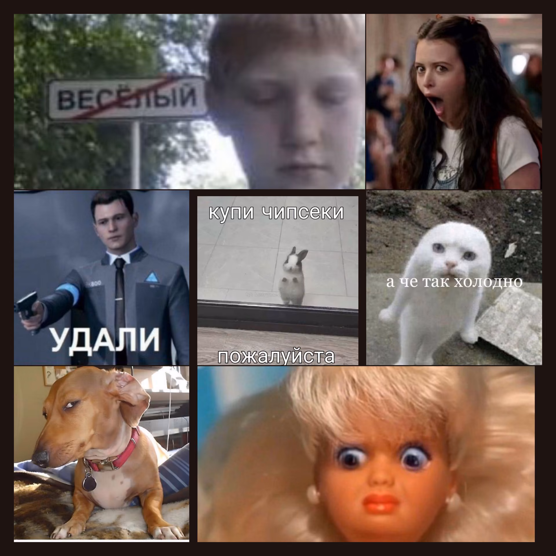 7e4ca94f13664dd357fc3ef4f42df868.avif