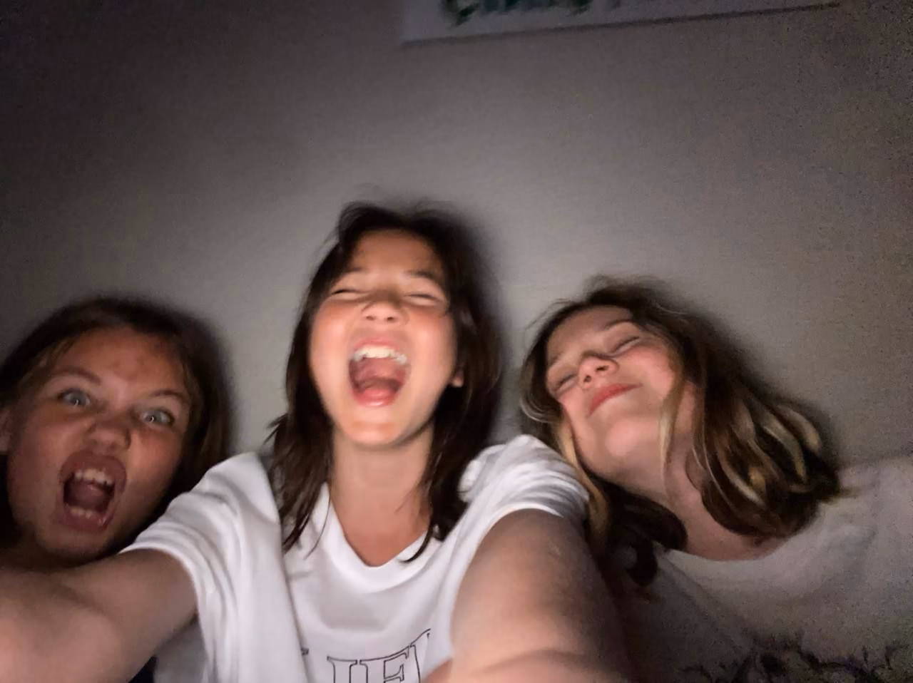 7e668799abaff9511c0f5f2ba500d186.jpg