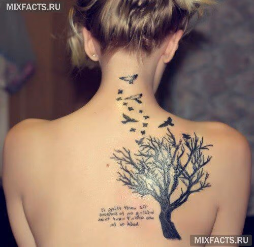7e675e2cde63079d1aa9e183f4168897.avif
