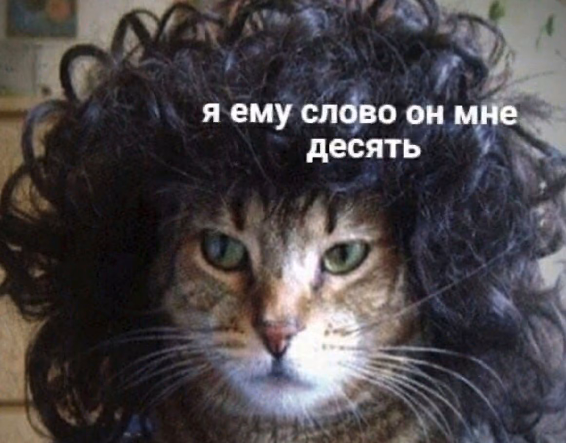7e69ed311717da46b7224be7b0d6720e.jpg