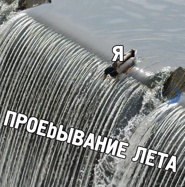 7e6a0c4813eef93cea9ed07497c5c42f.avif