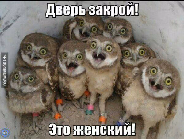 7e7fc65600d004158fa63e048d112d13.avif