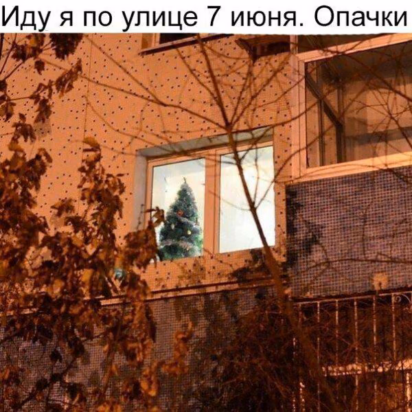 7e895d636da0fec76fb035dd4c21ab09.avif
