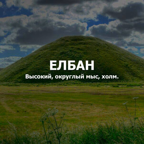 7e8972717acf95c9d1a12a711b8e7769.jpg