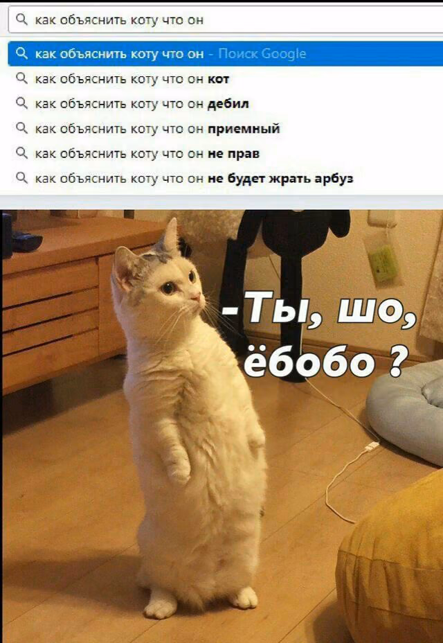 7e94d179383fc4d9e1fffa5a37938081.jpg