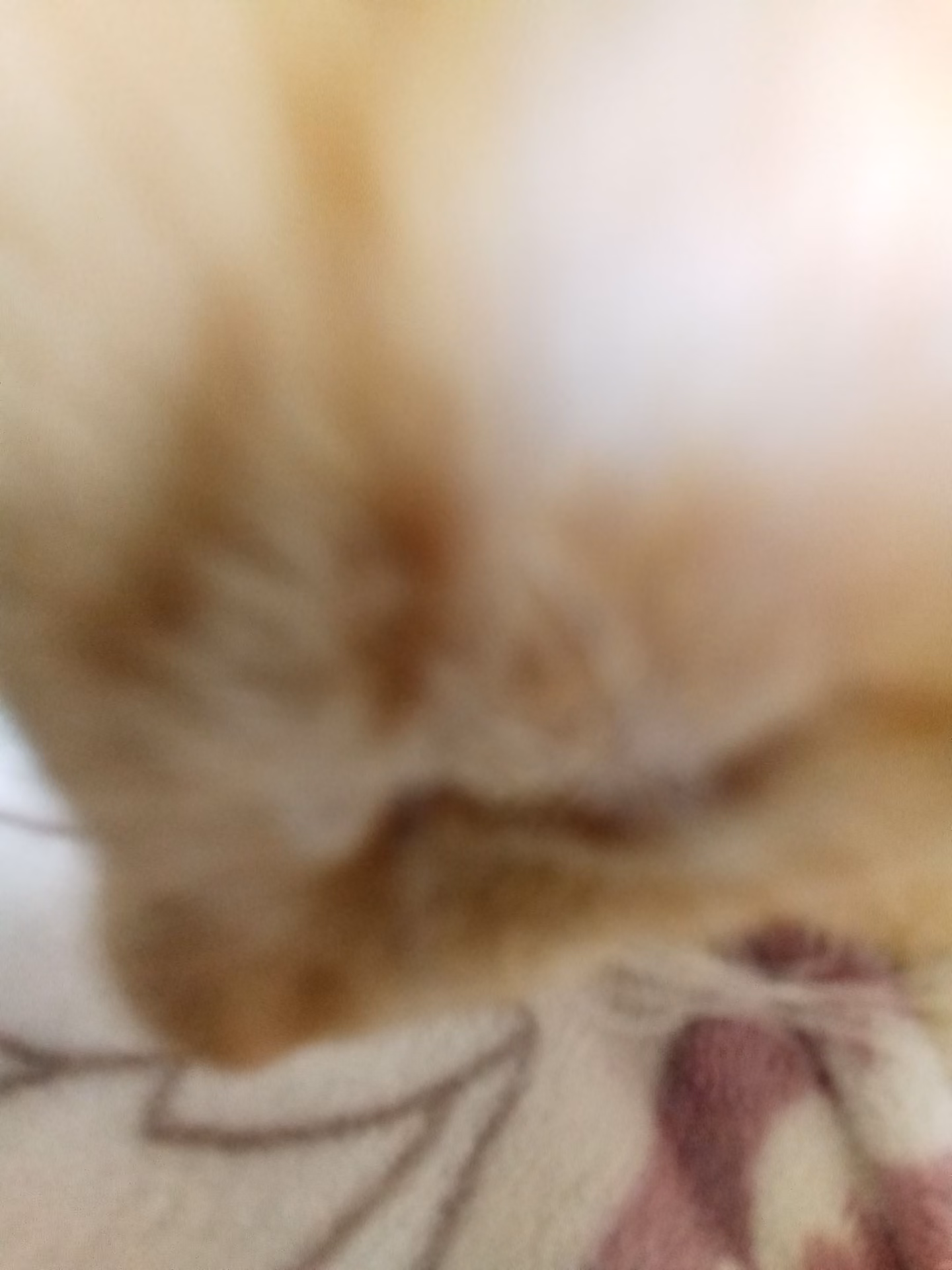7e9715485d5f8dda2b65c9b1f9ce617b.jpg