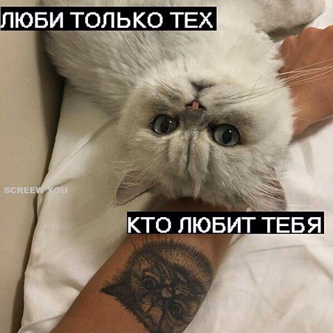 7e9cde721edc49992c30b5de65b4ae0d.jpg