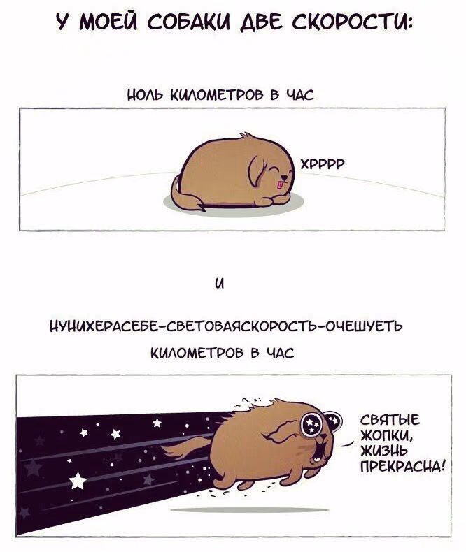 7ea3c2c856e4ffd92812e063c302ea37.jpg