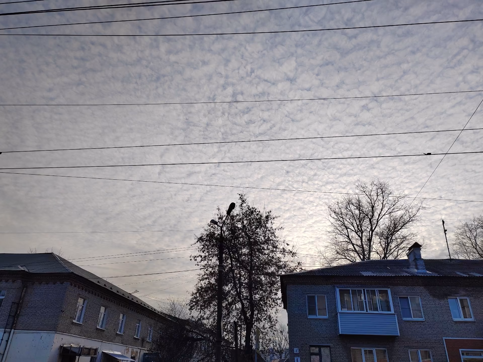 7ea5aa58c7c1891ba21739dc76310b9d.jpg