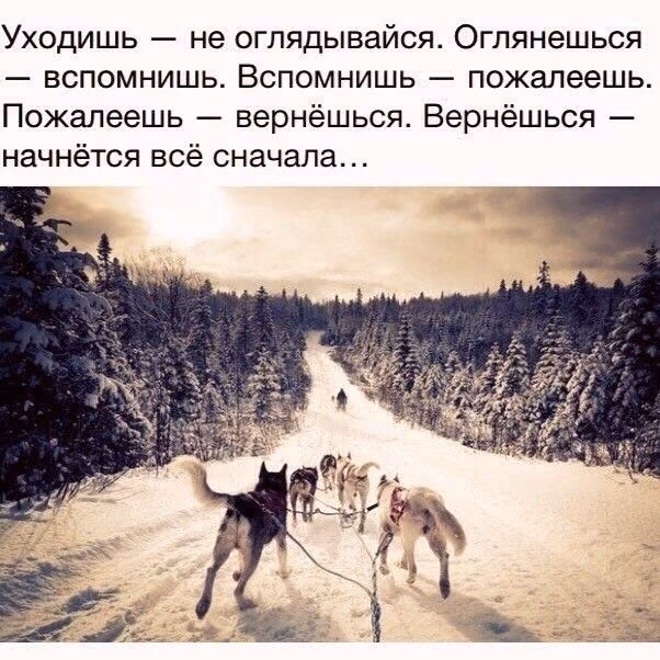 7eb1688f402644eda185128c8351bfe8.jpg