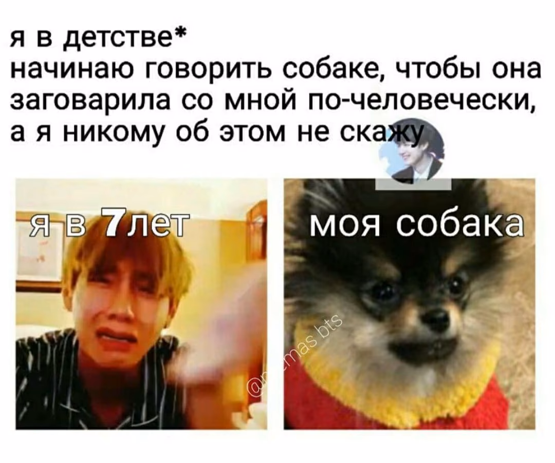 7ebfdad595a319a8e9220806175cea4f.jpg
