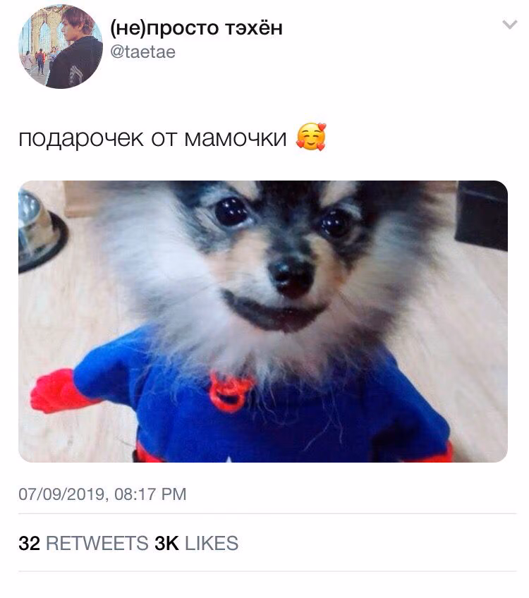 7ed2379ec22c4d0392f8c9ff95578d7c.avif