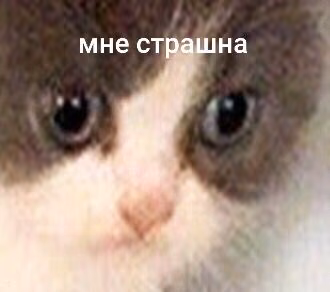 7edb689a11fec115c0bd240bab7c8967.avif