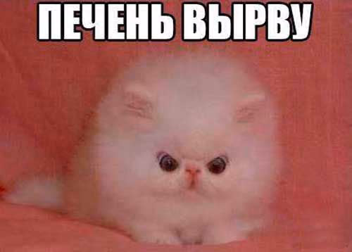 7ee701aeea4145e7a5f943477e252b43.jpg