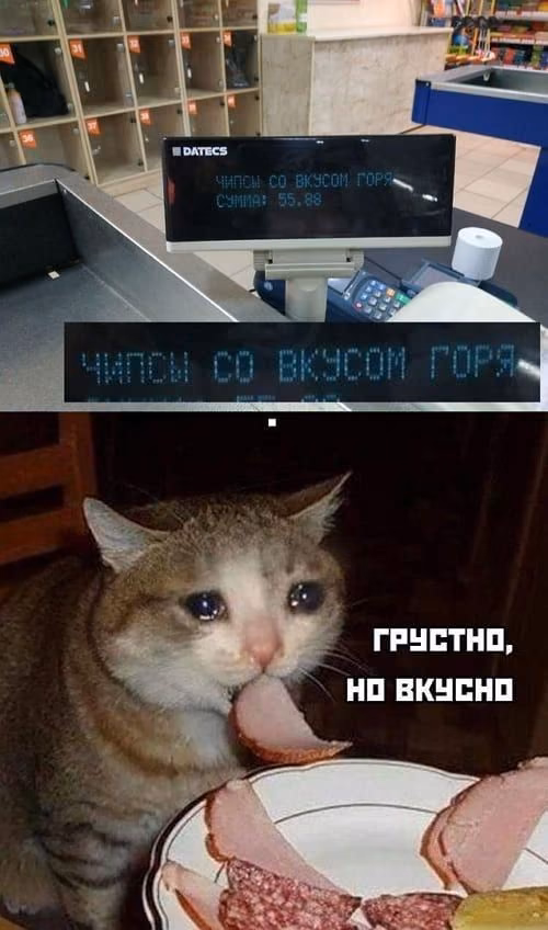 7eefc803057043c7d8a142a60cefa765.avif