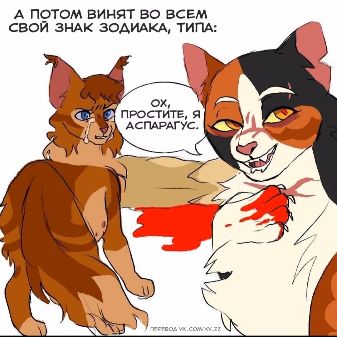 7ef62e5394297f0d4eec05e1fb37817e.avif