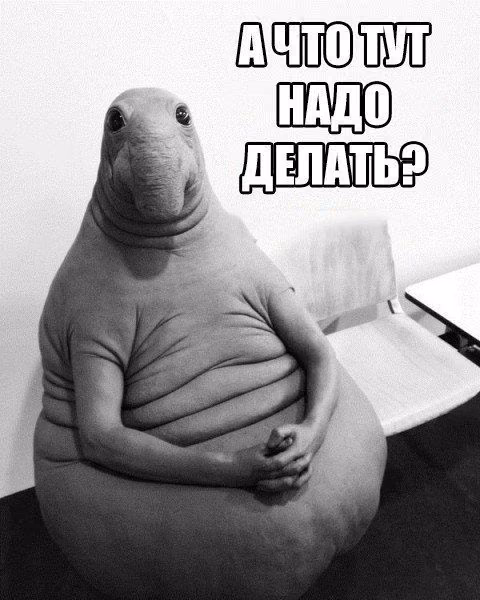 7f07f715ac24166268eccb833c19229f.avif