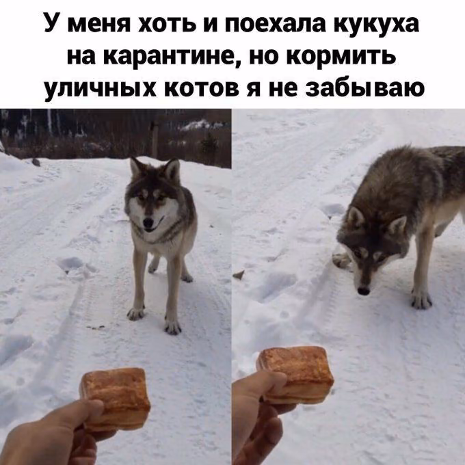 7f08f376907e5ac5945f3623497430cc.avif