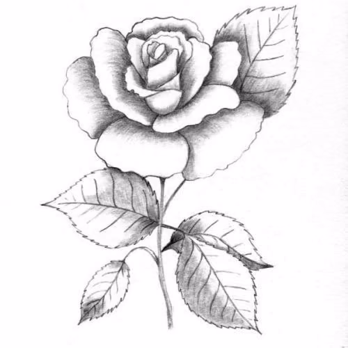 7f1afbd07adba00493ba75c27bf7fe57.avif