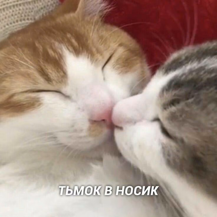 7f1d1e615cf1a9d72a0f8e8972216c9d.jpg