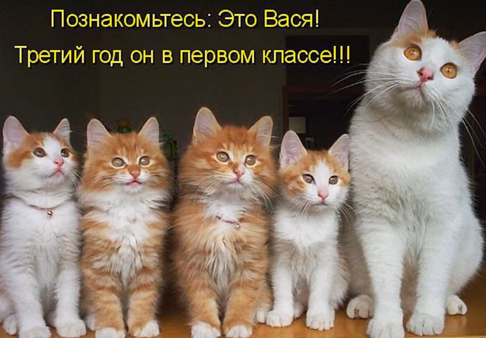 7f439168f241c442a6df54dbf628dc4a.jpg