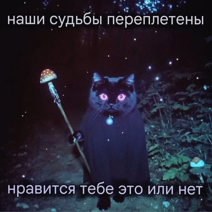 7f4a9a7d64bb06f41c5da83c678645d3.jpg